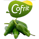 UND 2 PIMIENTO PADRON BOLSA 1,5 KG COFRIT 375 UND APROX