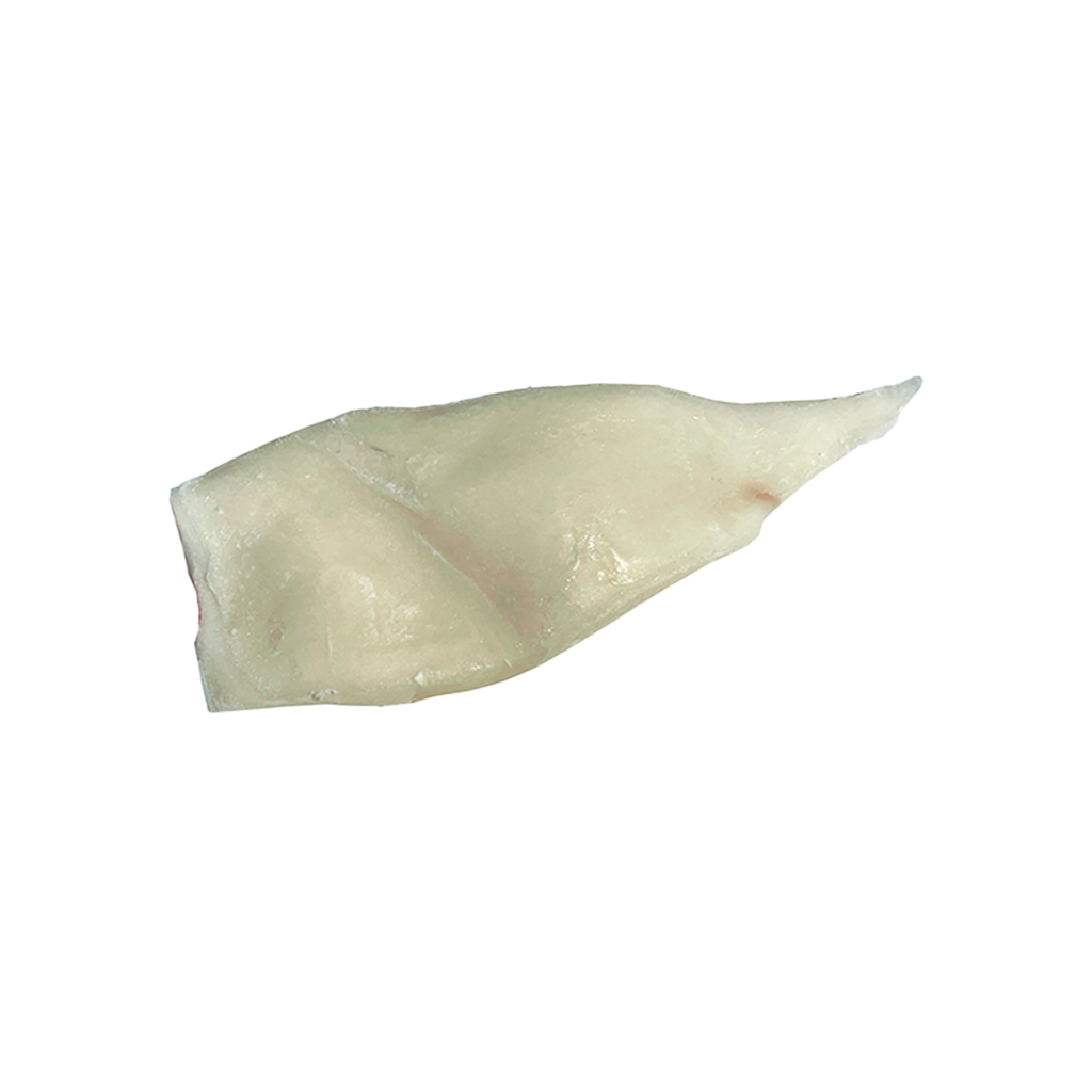 KG 7 TUBO DE CALAMAR LIMPIO (POTA) (24 CM/VAINA) XL