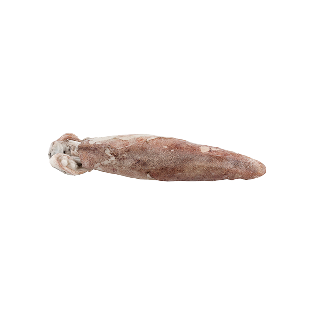 KG 4 CALAMAR MEDIANO (FAO34) (LOLIGO VULGARIS) (IWP) (B) 450/750 G