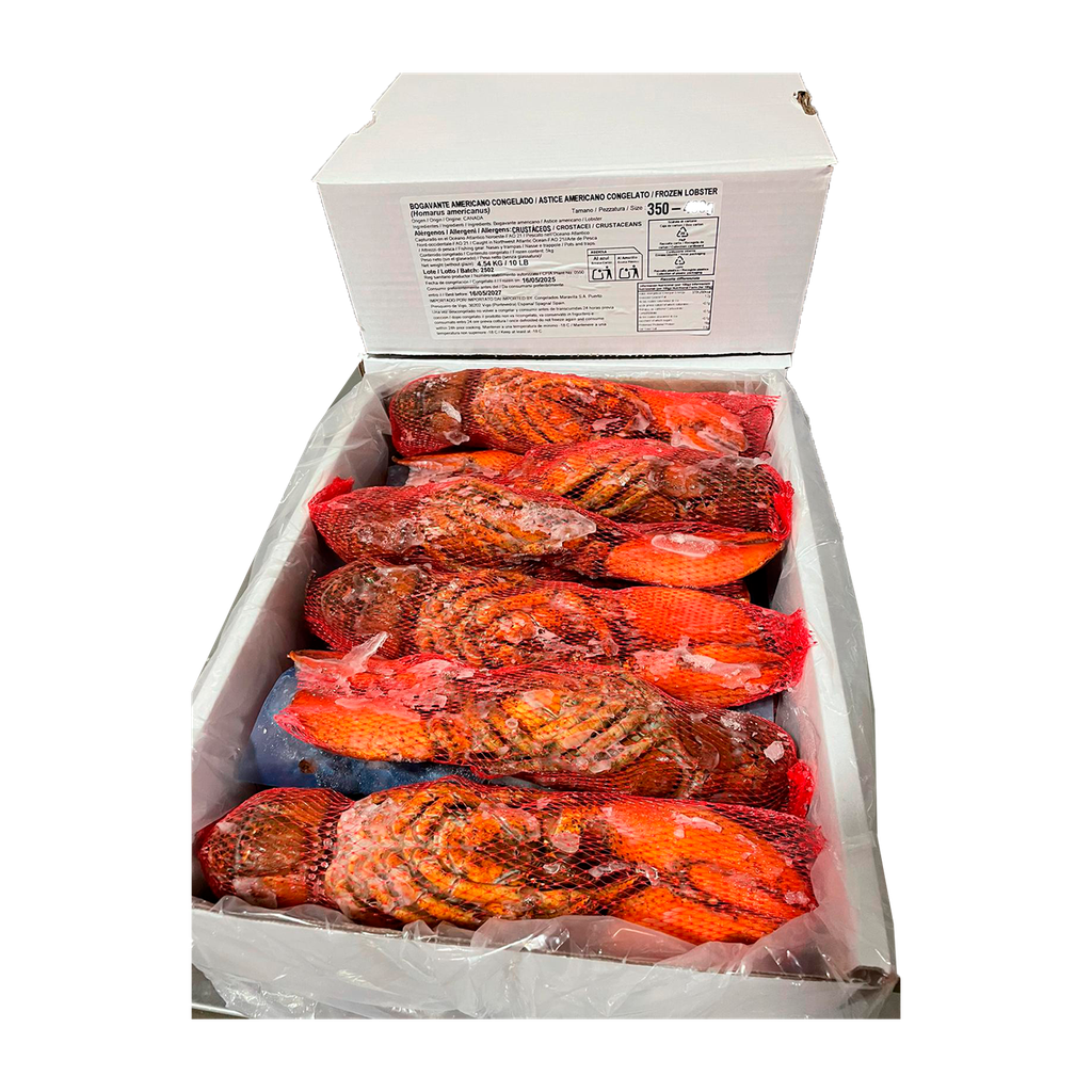 KG 5 BOGAVANTE CANADA CRUDO 350/400 GR 10% GLASEO MARAVILLA