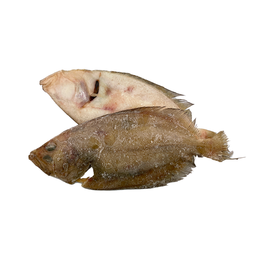 KG 5 PEZ GALLO (100/150 GR/PZ)