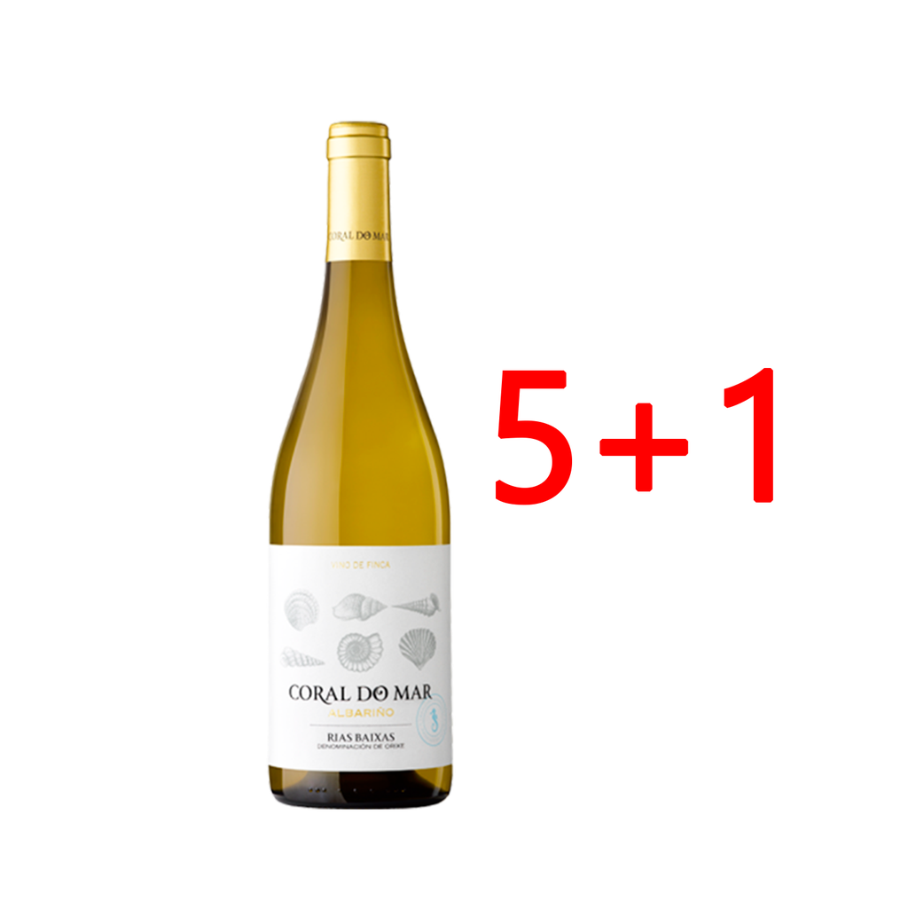 UND 5+1 VINO D.O. RIAS BAIXAS 100% ALBARIÑO CORAL DO MAR 13º