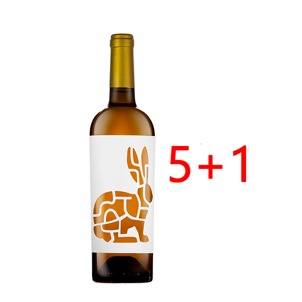 UND 5+1 VINO MADRIGUERA BLANCO 12.5º D.O. VALENCIA