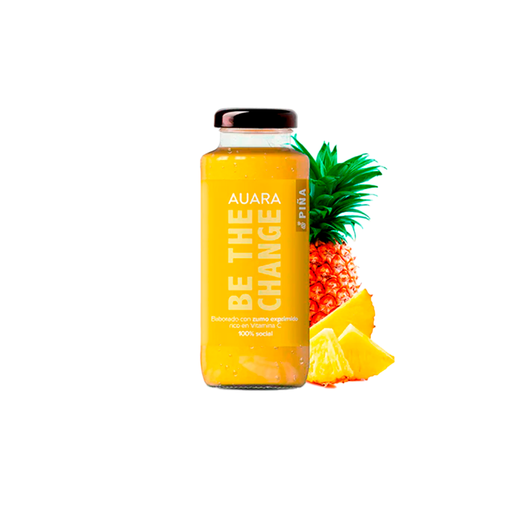 NECTAR PIÑA AUARA CAJA 24 UD (35)
