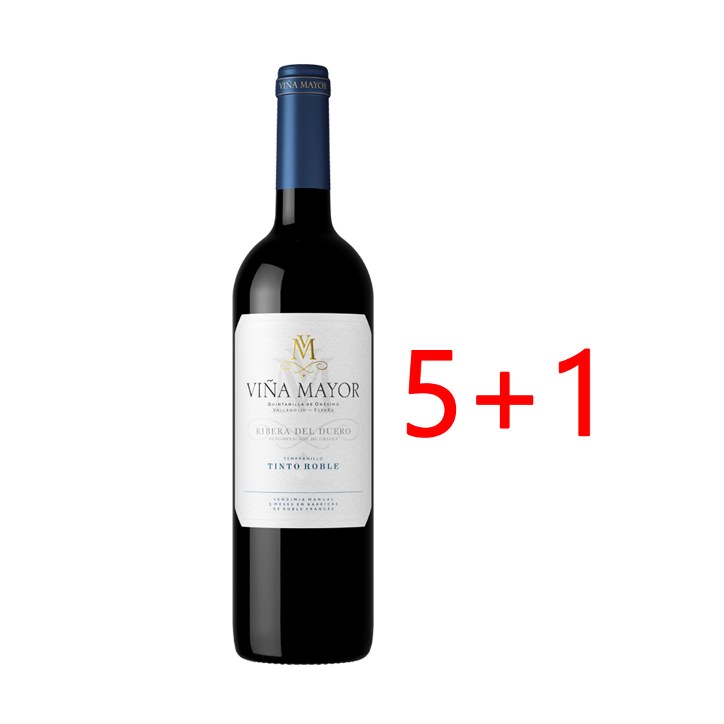 UND 5+1 VINO RIBERA DUERO VIÑA MAYOR ROBLE 75 CL
