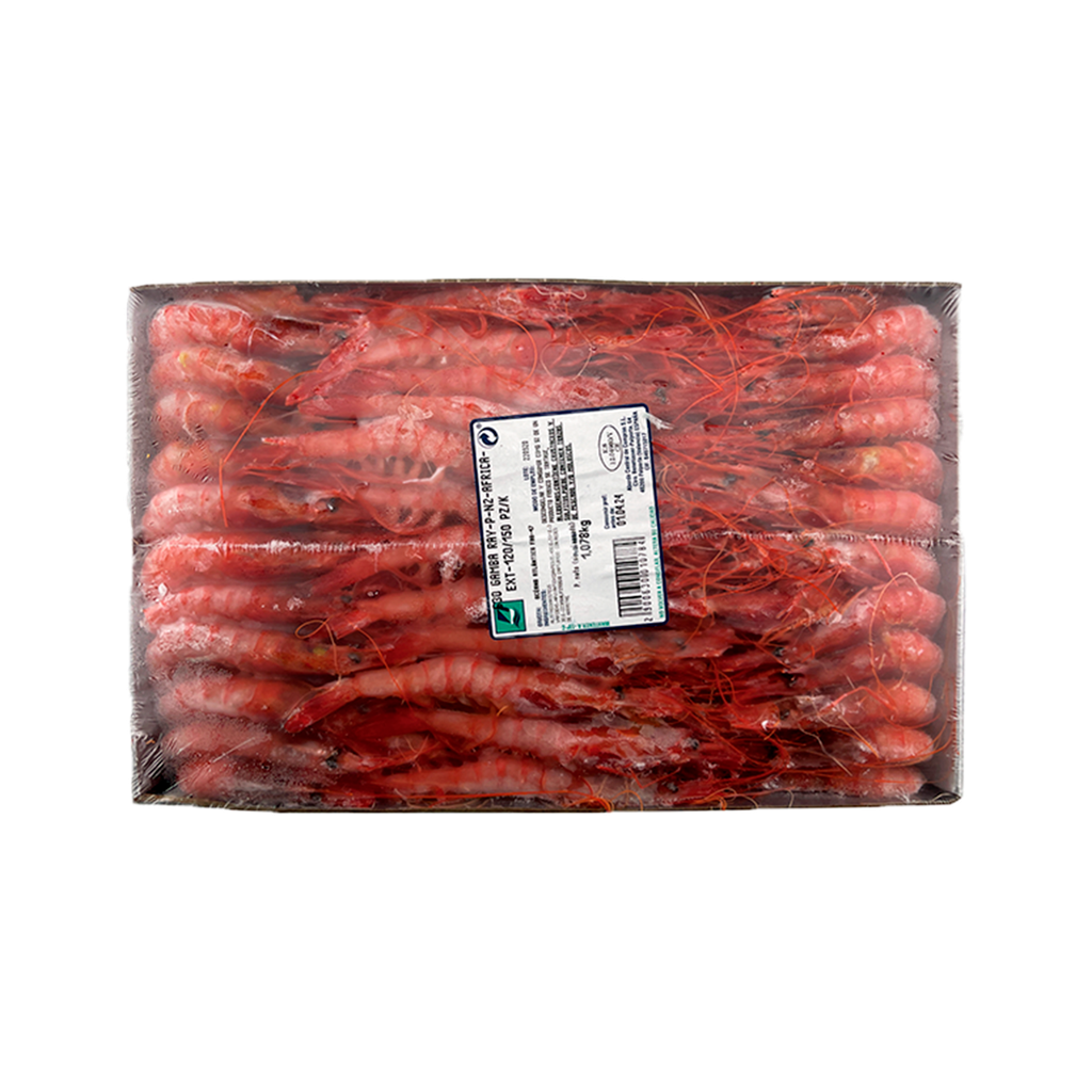 KG 1.25 GAMBA RAY P N2 (AFRICA) EXT 100/120 PZ/K