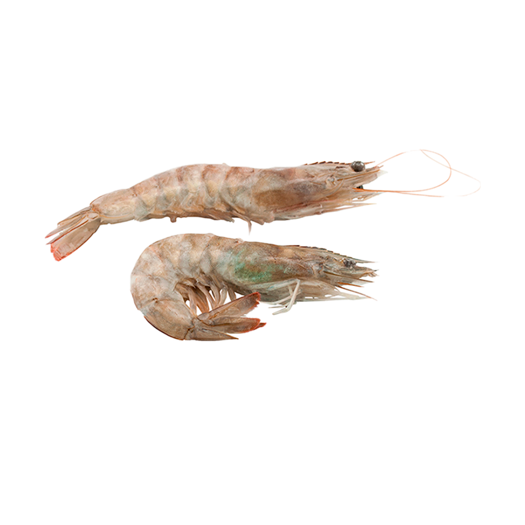 KG 5 LANGOSTINOS GRANDES (VANNAMEI) 30-40 PZA/KG IQF