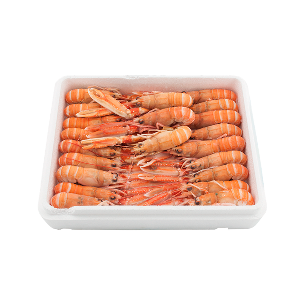 KG 1.5 CIGALAS GRANDES (1) TRONCO (11/15 PZ/KG)