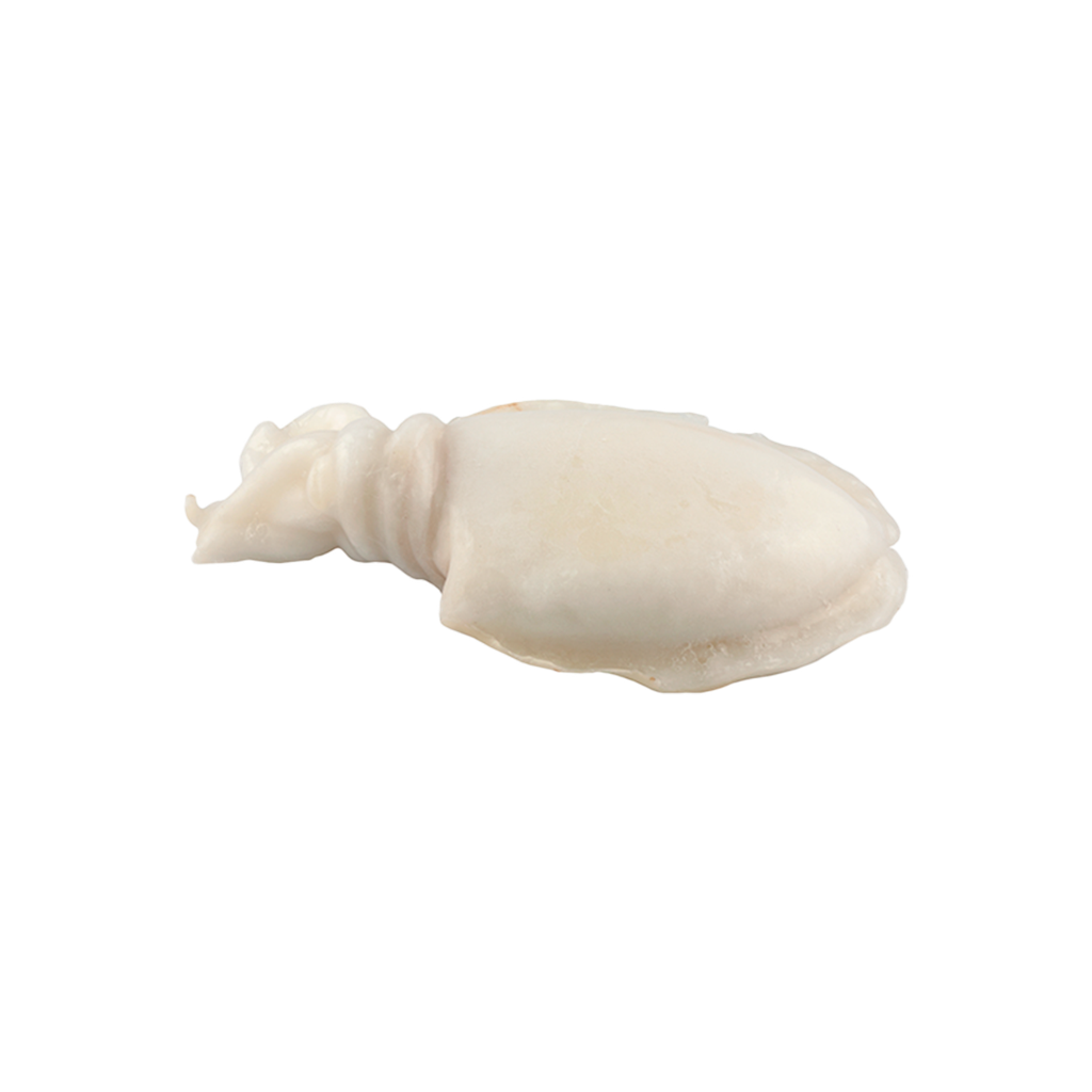 KG 6 SEPIA LIMPIA FAO 51 2/4 PZA/KG IQF