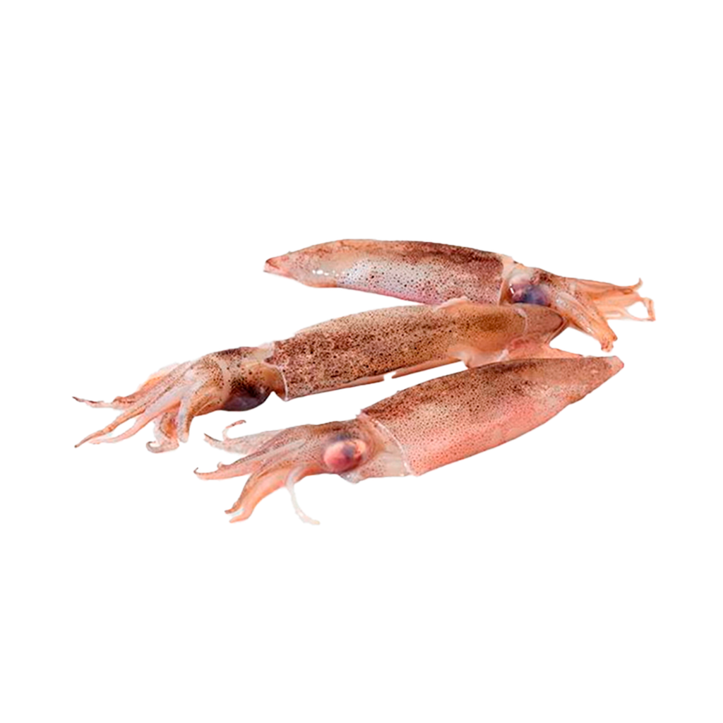 KG 6 CALAMAR CHIPIRON PATAGONICO (9/11)