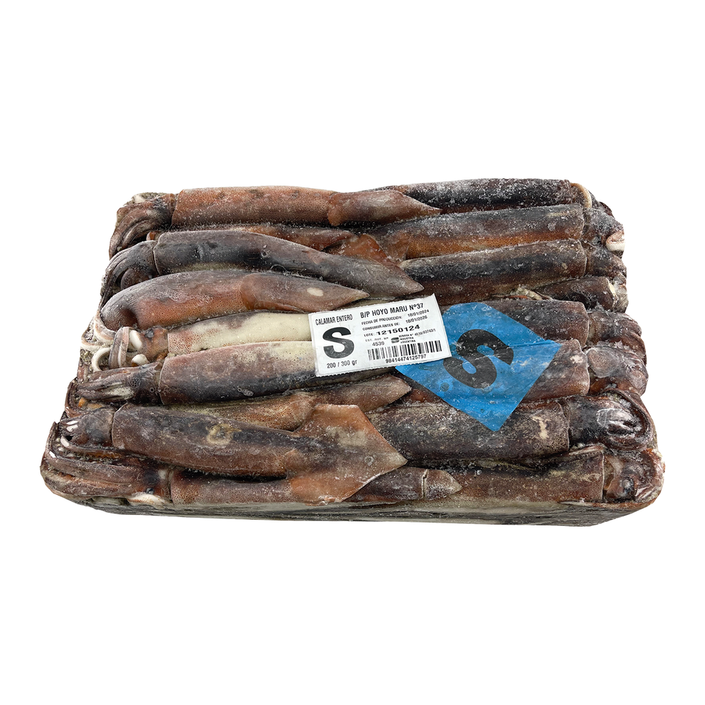 KG 15 APROX CALAMAR VOLADOR POTA-M 41-18/24 (ILLEX)