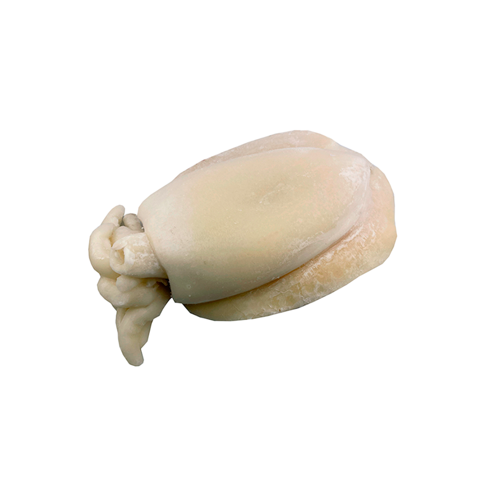 KG 14 APROX SEPIA LIMPIA GRANDE IQF(2000/3000 G/PZA.)