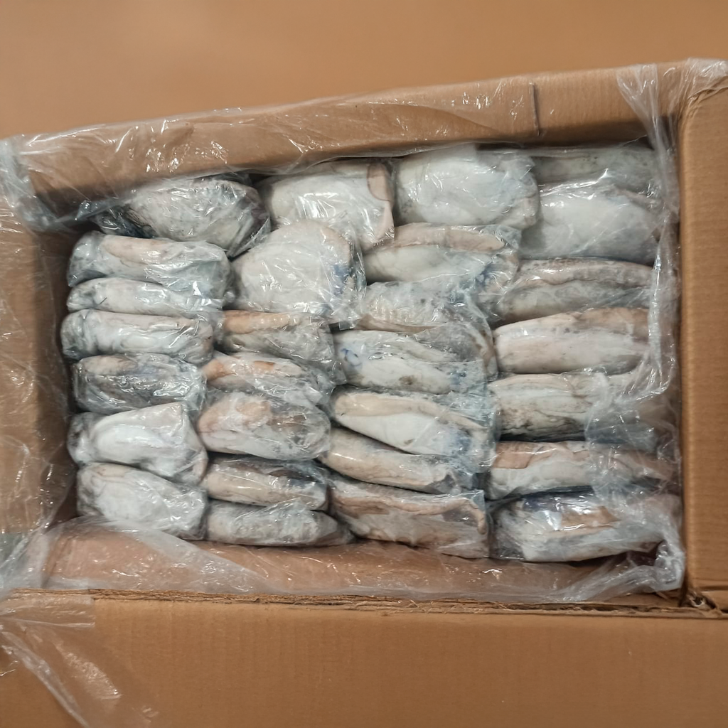 KG 10 SEPIA ENTERA IWP 300/600 MARAVILLA