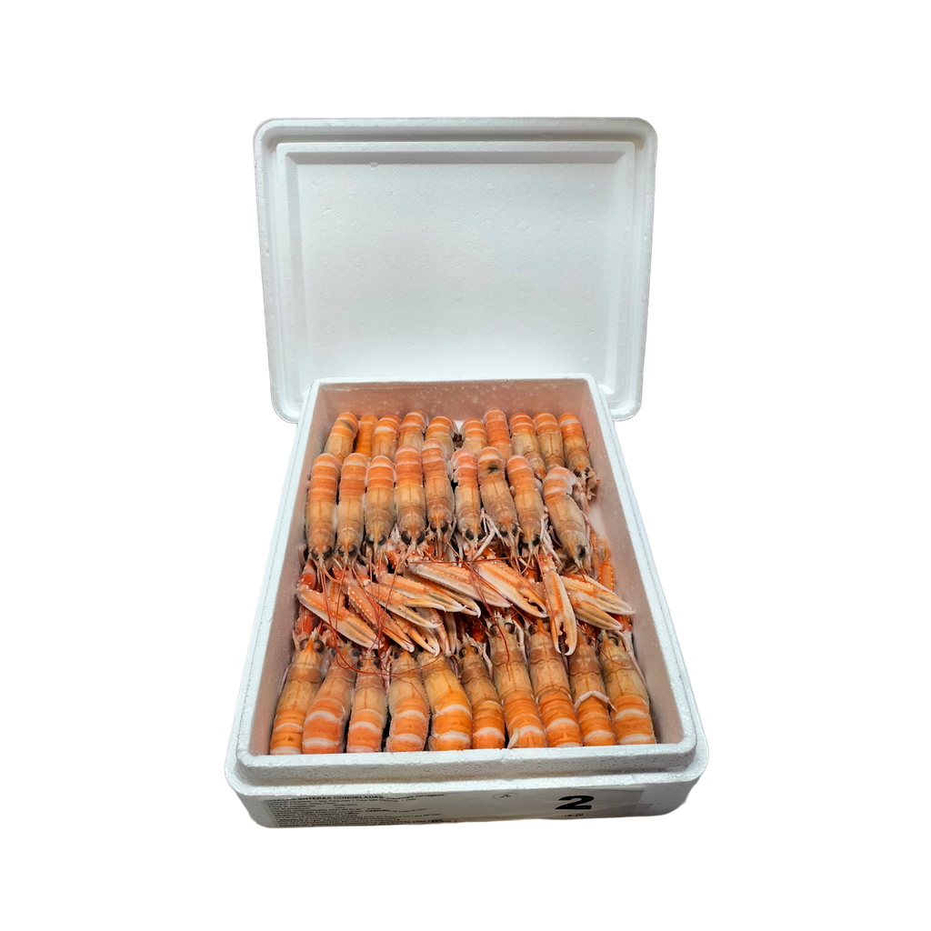 KG 1,5 CIGALA ESCOCIA Nº 2 MARAVILLA