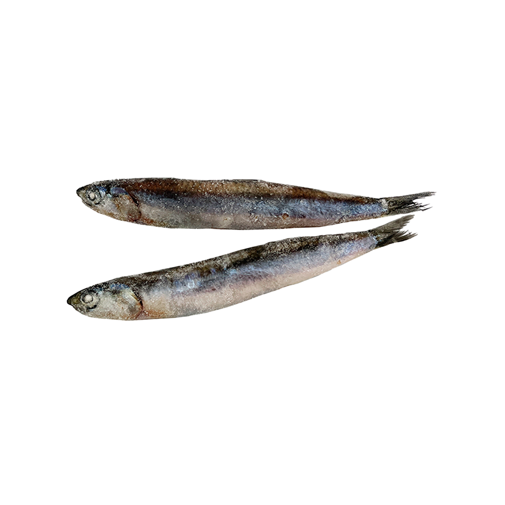 KG 6 BOQUERON ENTERO GRANDE IQF 30/40 PZAS KG